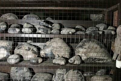 Андрей Жуков - Камни Ики - послание невозможной цивилизации