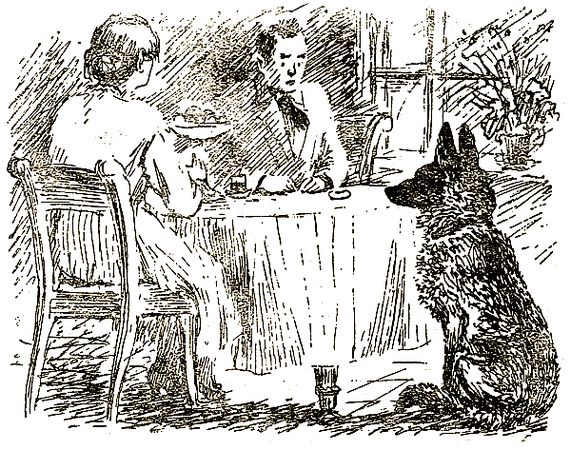 Евгений Чарушин - Охотничьи рассказы