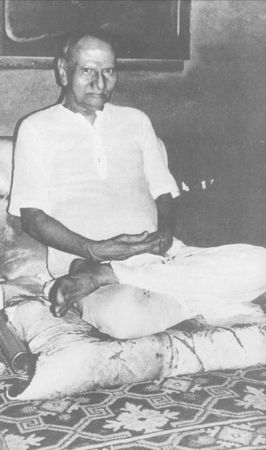 Стивен Волински - Я есть то, что я есть