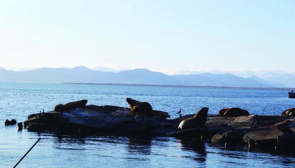 А. Корякина - Дорога в облаках
