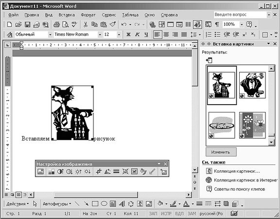 Роман Кравцов - Домашний компьютер