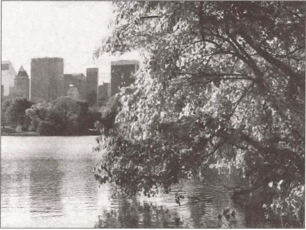 Вадим Бурлак - Неизвестный Нью-Йорк. История. Легенды. Предания