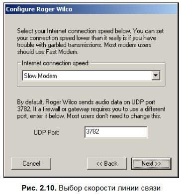 Сергей Фрузоров - Бесплатные разговоры через Интернет