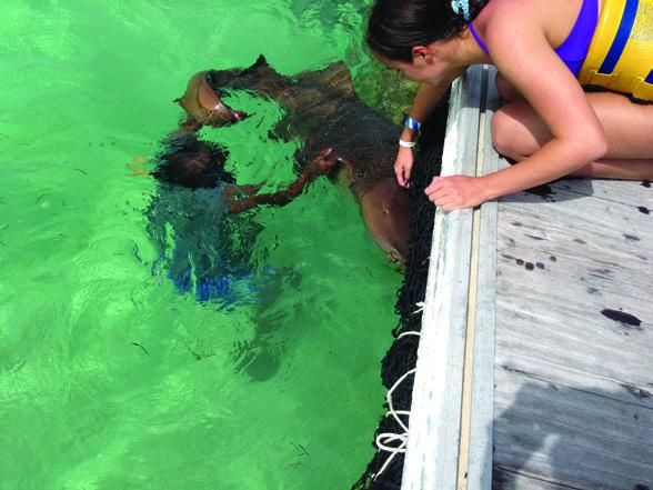 А. Корякина - Дорога в облаках