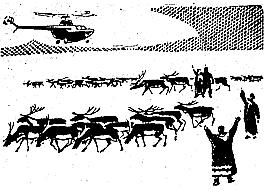 Виктор Болдырев - Полуостров загадок