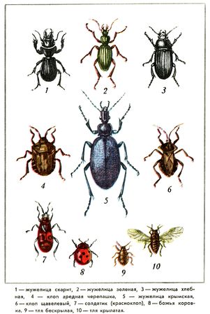 Юрий Дмитриев - Путешествие на всю жизнь