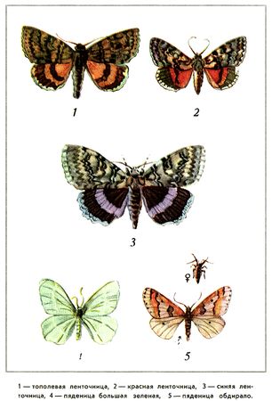 Юрий Дмитриев - Путешествие на всю жизнь