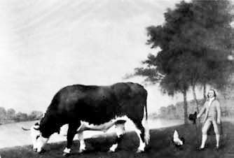 Джон Бергер - Искусство видеть