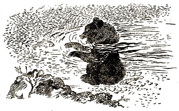 Евгений Чарушин - Охотничьи рассказы