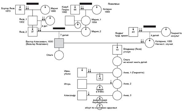 Валерий Докучаев, Лариса Докучаева - Власть Рода. Родовые программы и жизненные...