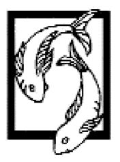 Наталья Шейко - Магия женского шарма