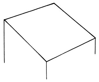 Аурика Луковкина - Архитектура и устройство крыши