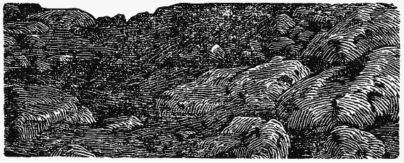 Михаил Пришвин - Том 6. Осударева дорога. Корабельная чаща