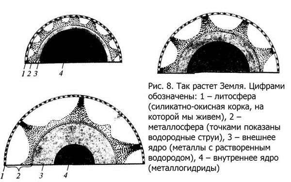 Александр Никонов - Верхом на бомбе. Судьба планеты Земля и ее обитателей