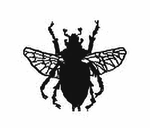 Иван Тургенев - Стихотворения в прозе