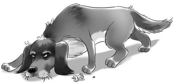 Светлана Лаврова, Ольга Колпакова - Верните новенький скелет!