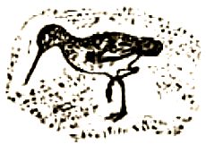 Евгений Чарушин - Охотничьи рассказы