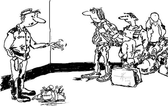 ИванычЪ - Вечнозеленые помидоры