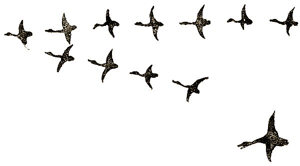 Евгений Чарушин - Охотничьи рассказы