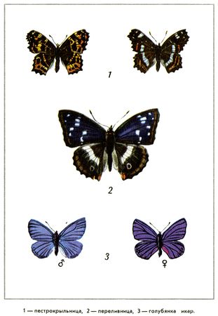 Юрий Дмитриев - Путешествие на всю жизнь