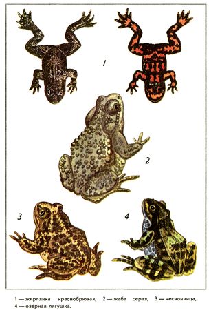 Юрий Дмитриев - Путешествие на всю жизнь