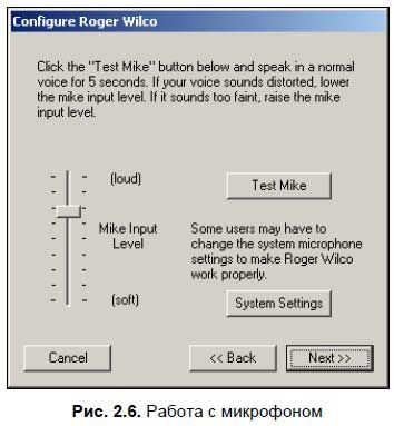 Сергей Фрузоров - Бесплатные разговоры через Интернет