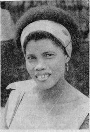 Бенгт Шёгрен - Осколки континента