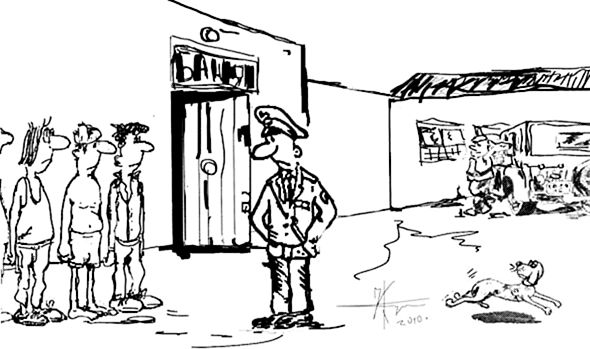 ИванычЪ - Вечнозеленые помидоры