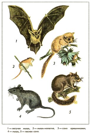 Юрий Дмитриев - Путешествие на всю жизнь