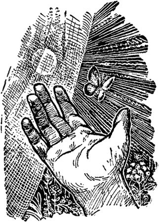 Виктор Гребенников - Тайны мира насекомых