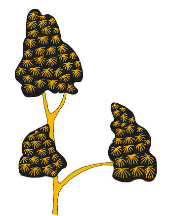 Андрей Рогач (Анро) - 21 стакан. Истории Йогеша, записанные Анро