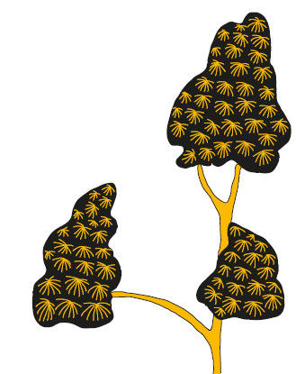 Андрей Рогач (Анро) - 21 стакан. Истории Йогеша, записанные Анро