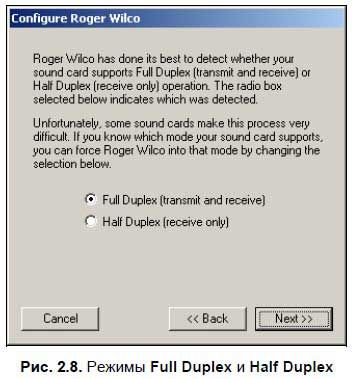Сергей Фрузоров - Бесплатные разговоры через Интернет