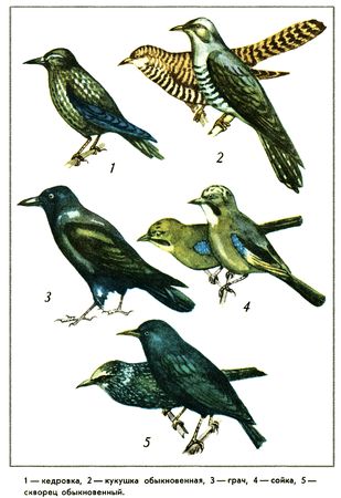 Юрий Дмитриев - Путешествие на всю жизнь