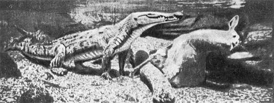 Игорь Акимушкин - Мир животных. Рассказы о змеях, крокодилах, черепахах,...