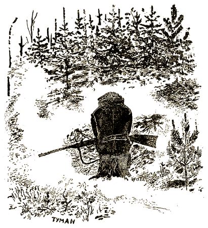 Евгений Чарушин - Охотничьи рассказы