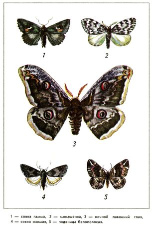 Юрий Дмитриев - Путешествие на всю жизнь