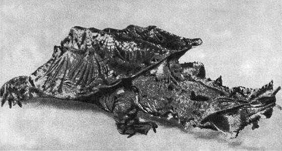 Игорь Акимушкин - Мир животных. Рассказы о змеях, крокодилах, черепахах,...