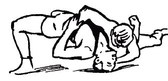 Коллектив авторов - Греко-римская борьба для начинающих