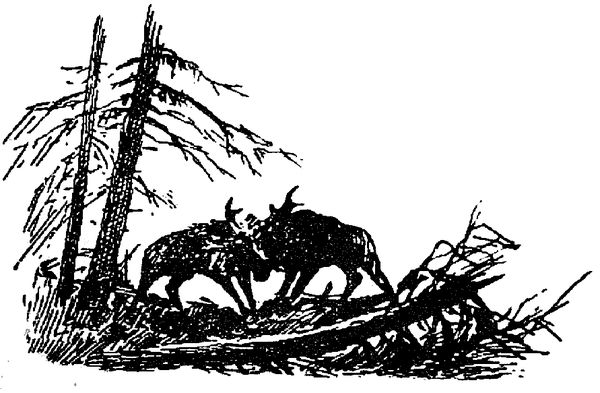 Григорий Федосеев - Таежные встречи