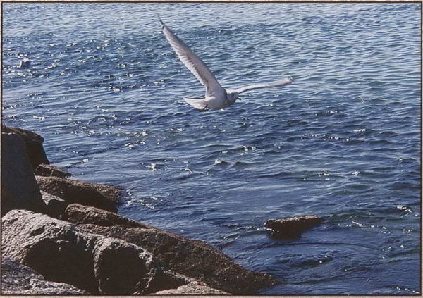 Вадим Бурлак - Неизвестный Нью-Йорк. История. Легенды. Предания