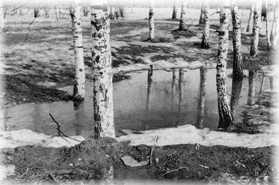 Ирина Галкина - Моя жизнь