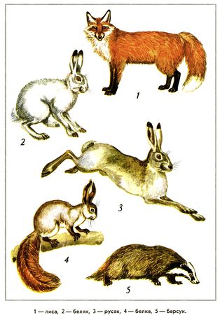 Юрий Дмитриев - Путешествие на всю жизнь