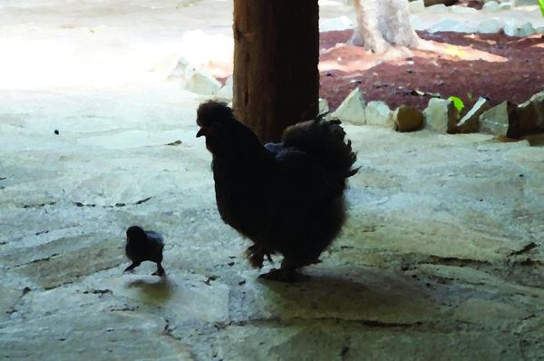 А. Корякина - Дорога в облаках