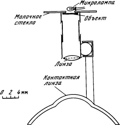 Турчин Фёдорович - Феномен науки. Кибернетический подход к эволюции
