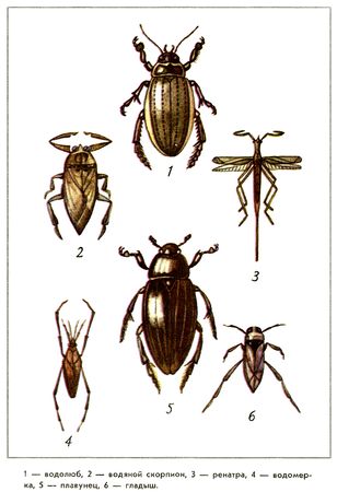 Юрий Дмитриев - Путешествие на всю жизнь