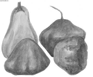 Ирина Иофина - Сбор и хранение урожая