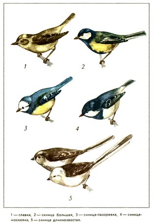 Юрий Дмитриев - Путешествие на всю жизнь