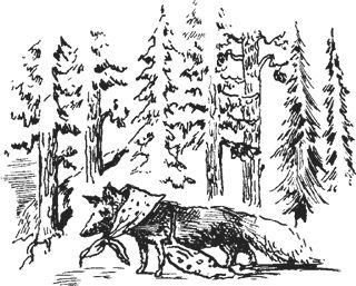 Павел Пепперштейн, Сергей Ануфриев - Мифогенная любовь каст