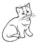 Гениальность на кончиках пальцев!...